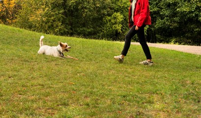 Dog and her owner