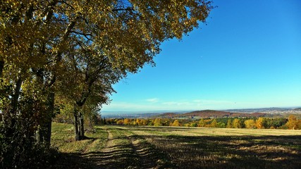 Weg durch den vorderen Spessart