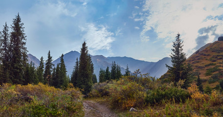 panorama of a rocky path going deep into the gorge far into the mountains, passing through bushes and mixed forests