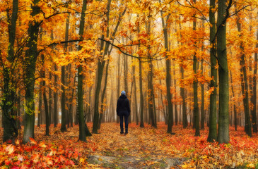 foggy forest. girl in the autumn forest. foggy morning
