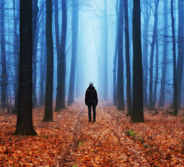 Fototapeta premium foggy forest. girl in the autumn forest. foggy morning