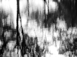 abstract black and white wave tree on water reflection texture