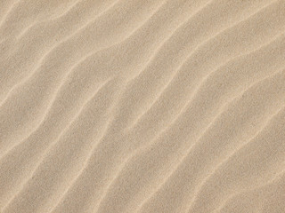 Fototapeta na wymiar Sand texture.Dented wave of the blow of the wind