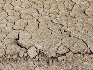 Cracks in the dried soil in arid season as a texture closeup