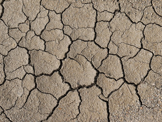 cracks in the ground