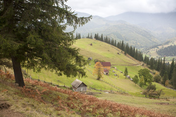 dolina  © qrrr