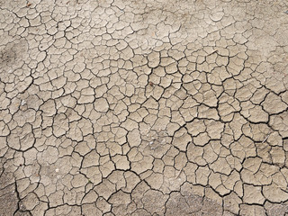 cracks in the ground