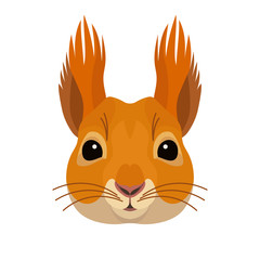 Vector pretty squirrel face forest animal icon