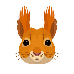Vector pretty squirrel face forest animal icon
