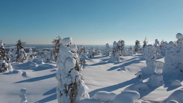 Aerial drone revelal shot through snow covered trees in Levi, Lapland, Finland