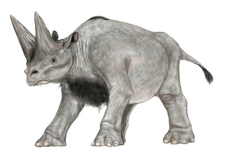 アルバータケラトプス 角竜類 ケラトプス科の恐竜としては近年の作品 カナダの専門家のアドバイスを受け角の長さ等にも反映させた 今後この恐竜を描くつもりはない イラスト画像完成2007年 体色は自由に設定した Wall Mural Mineo