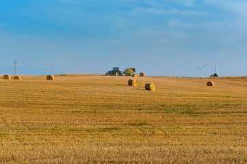 Fototapeta premium Twisted hay in the field. Bundles of hay. Fields with twisted haystacks.