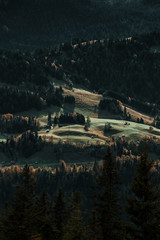 Alpenh&uuml;tten auf gr&uuml;nen Wiesen in den Bergen bei &Ouml;sterreich im Herbst 