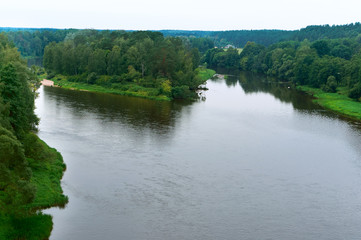 Big river. The river flows among the thickets.