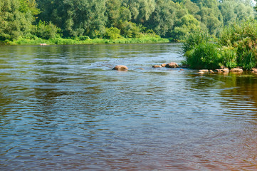 Big river. The river flows among the thickets.