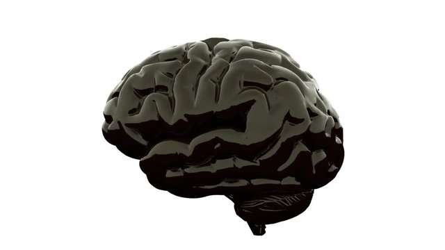 Black Brain on White Background. Alpha channel. 3D Render