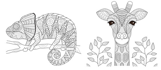 Chameleon and giraffe set for coloring book page and other printed product. Vector illustration