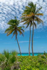 Obraz premium Amazing caribbean beach in Varadero, Cuba