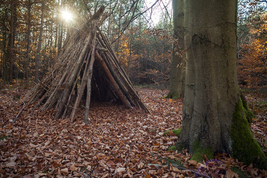 Drewniany szałas zbudowany z gałęzi w gęstym jesiennym lesie jako symbol bushcraftu