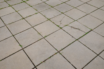 Fototapeta premium block cement floor with grass