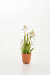 Decorative vase of plant on the white floor.