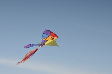 kite in the sky