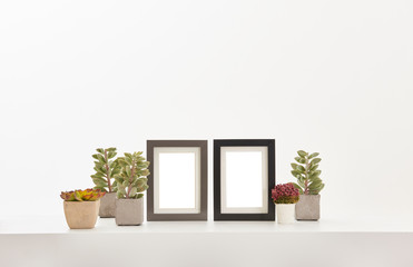 Frame object close up decoration and vase of plant style.