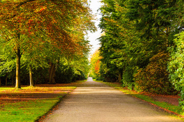 Beautiful English Public Garden during Fall Season, England, UK