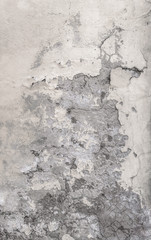 Old wall with white paint peeling off and mold