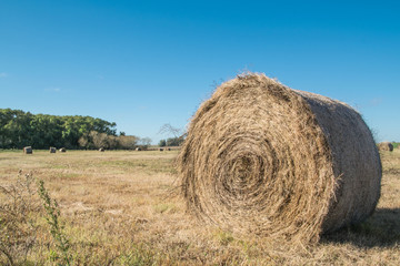 hay Roll