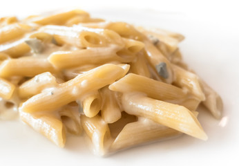 Penne pasta with gorgonzola sauce