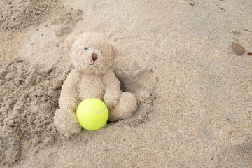 Bear tennis player is holding tennis ball alone on holiday at the beach 