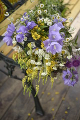 beautiful flowers on the bench