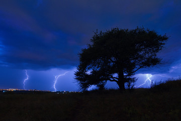An old tree silouette with lightnings during thunderstorm