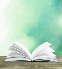 Plank open textbook isolated on background