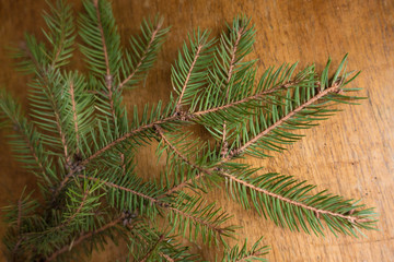Twig of spruce on wooden table from above