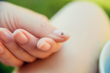 Tick crawling on finger. The concept of danger of tick bite.