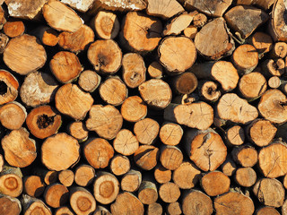 Raw de-barked wood logs in a lumber staging, storage yard. Raw timber, wooden sawen logs stacked