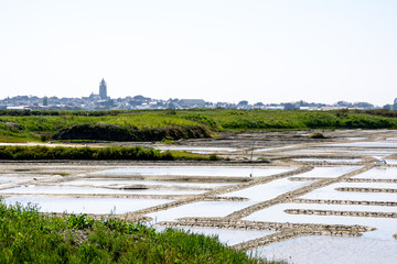 Sur les bords de Loire