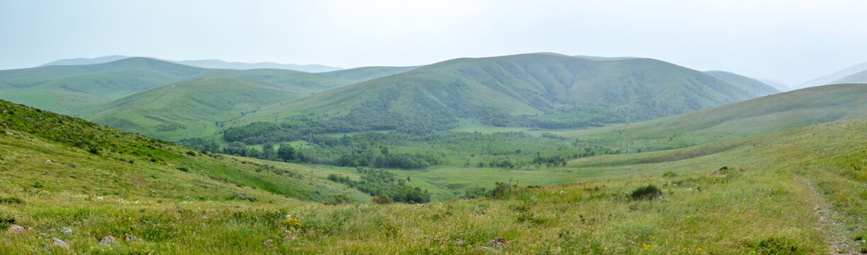 panorama of grassy green hills in spring