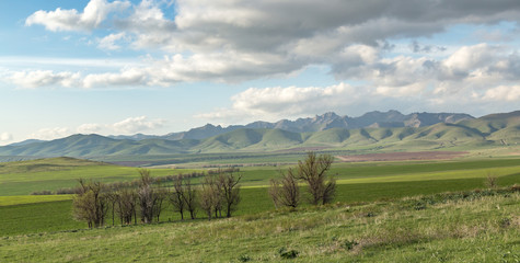 Cultivated fields in hilly terrain in spring
