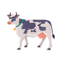 cheerful cow in a collar with a bell