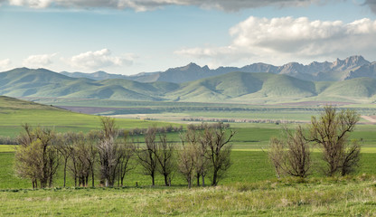 Fototapeta na wymiar Cultivated fields in hilly terrain in spring