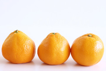 Mandarins on a white wooden background. Rich of nutritions, fiber, and vitamins. Picture design for foods background.