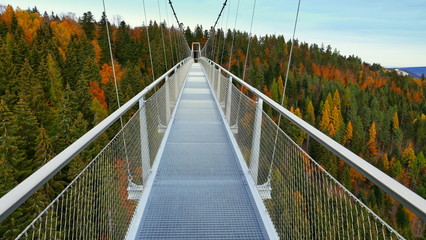 Obraz premium zentraler Blick über lange Hängebrücke in Bad Wildbad auf bunten Herbstwald