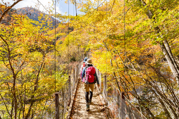 鮮やかな紅葉の登山道