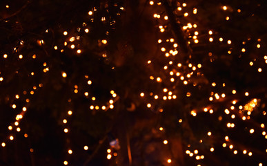 Bokeh of Light on Christmas tree