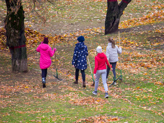 A group of schoolchildren fulfills the punishment by cleaning the fallen leaves in the yard. Or volunteers volunteered to streamline the state of the public lawn.