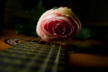 Rose on guitar © Инна Ларионова