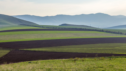 Fototapeta na wymiar wheat fields in a hilly area